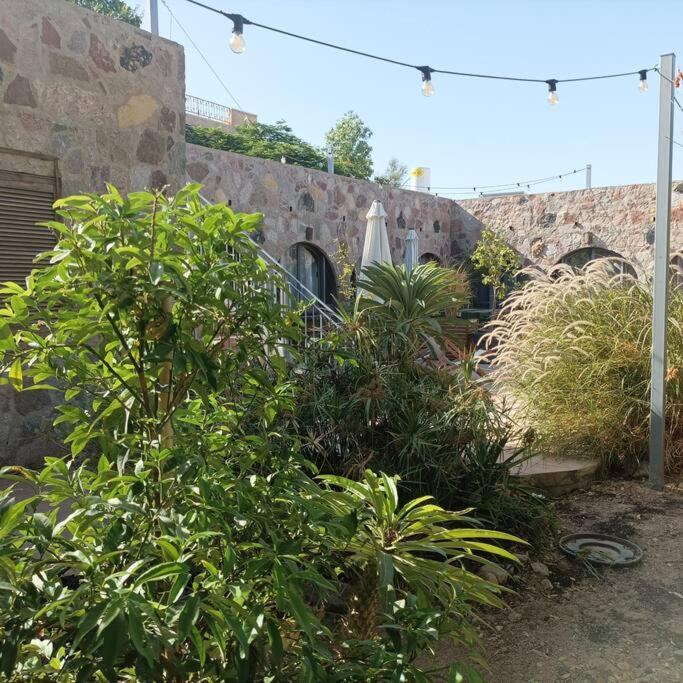 Eilat Stone Terrace-אילת סטון טראס Leilighet Eksteriør bilde