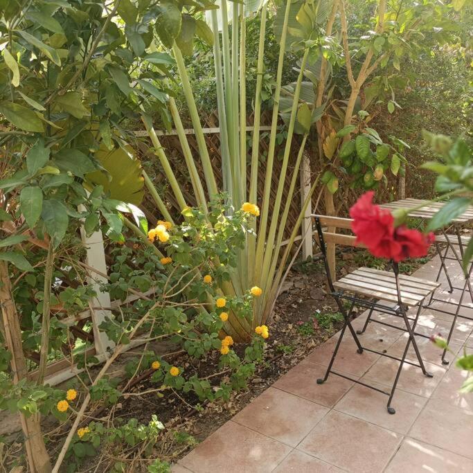 Eilat Stone Terrace-אילת סטון טראס Leilighet Eksteriør bilde